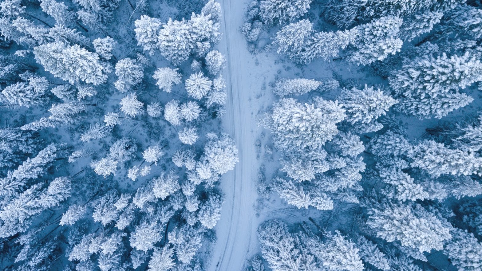 5 Tips for Driving on Winter Roads